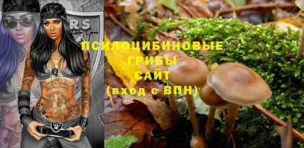 не бодяженный Новодвинск
