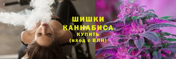не бодяженный Новодвинск