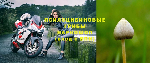 mdma Новозыбков