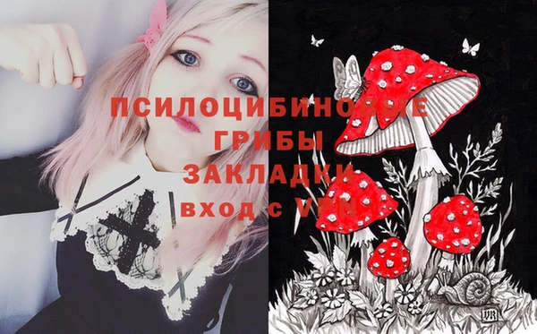 mdma Новозыбков