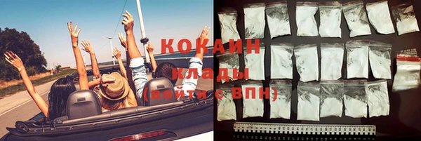 не бодяженный Новодвинск