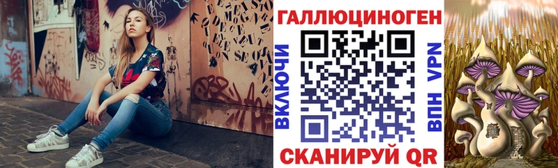 Псилоцибиновые грибы мицелий  Купить  Пугачёв 